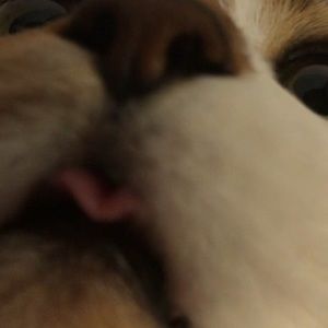 Meet your Posher, Roman